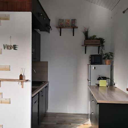 Les Pins Dans L'Eau Apartment Carcans Ngoại thất bức ảnh